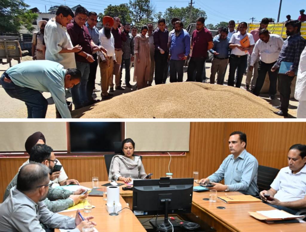 Deputy Commissioner visits grain market reviews wheat procurement arrangements
